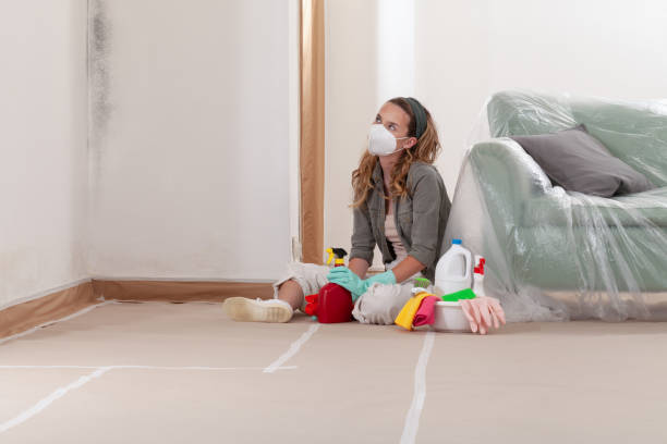 Reliable Mold Inspection contractor in Maplewood, MN by WQB Mold Removal